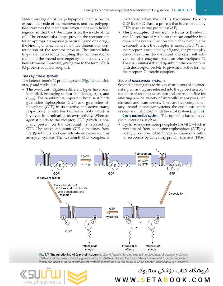 Medical Pharmacology and Therapeutics2022