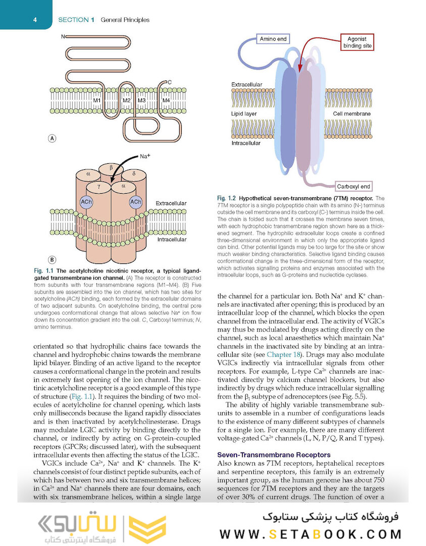 Medical Pharmacology and Therapeutics2022