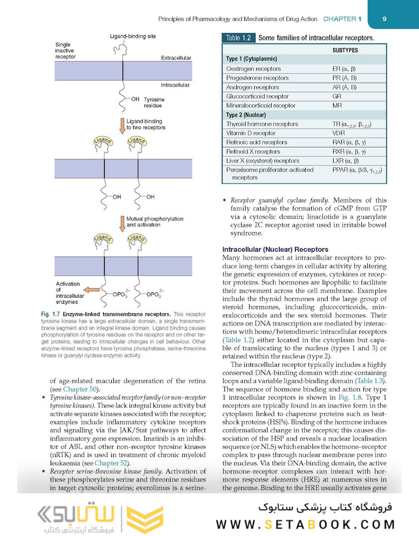 Medical Pharmacology and Therapeutics2022