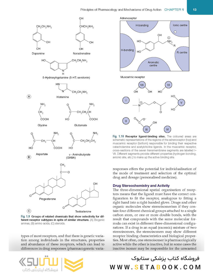 Medical Pharmacology and Therapeutics2022