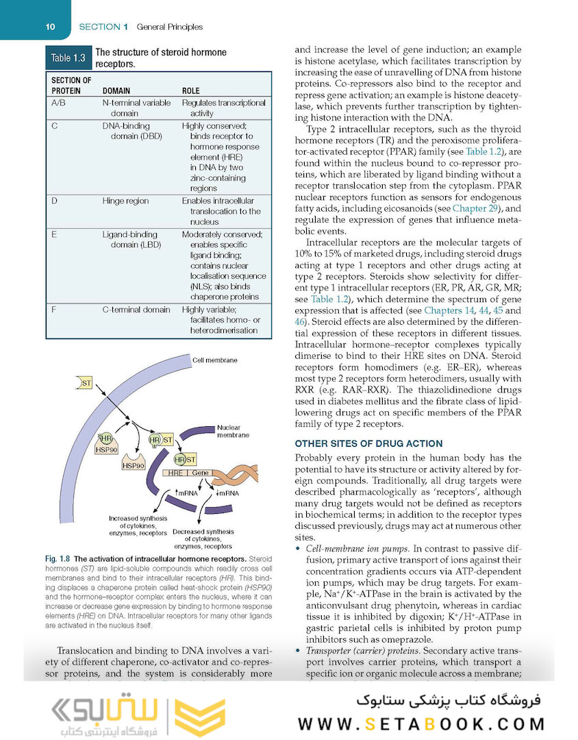 Medical Pharmacology and Therapeutics2022