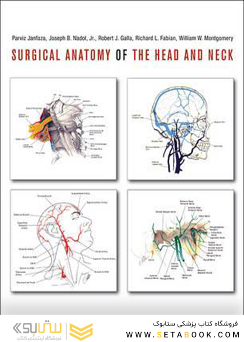 Surgical Anatomy of the Head and Neck