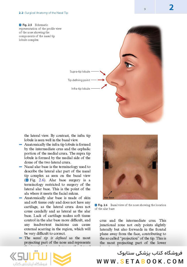 Textbook of Nasal Tip Rhinoplasty : Open Surgical Techniques