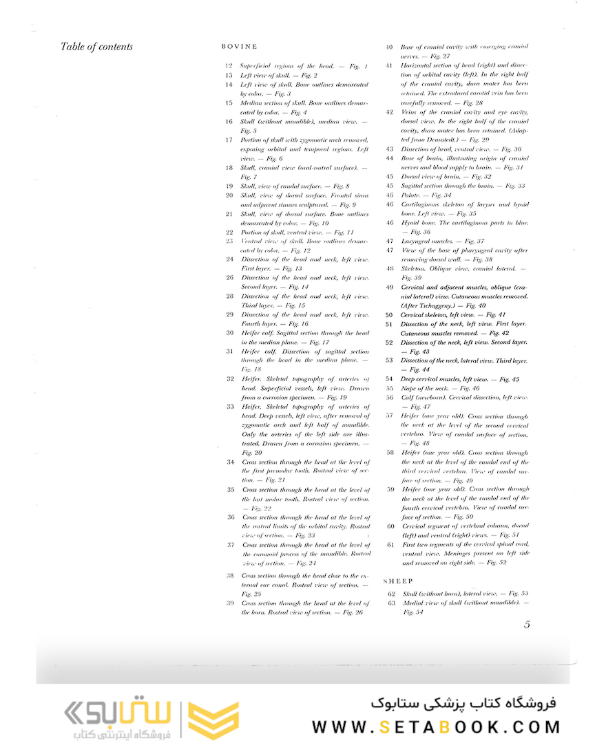 Atlas of Topographical Anatomy of the Domestic Animals 2nd Edicion