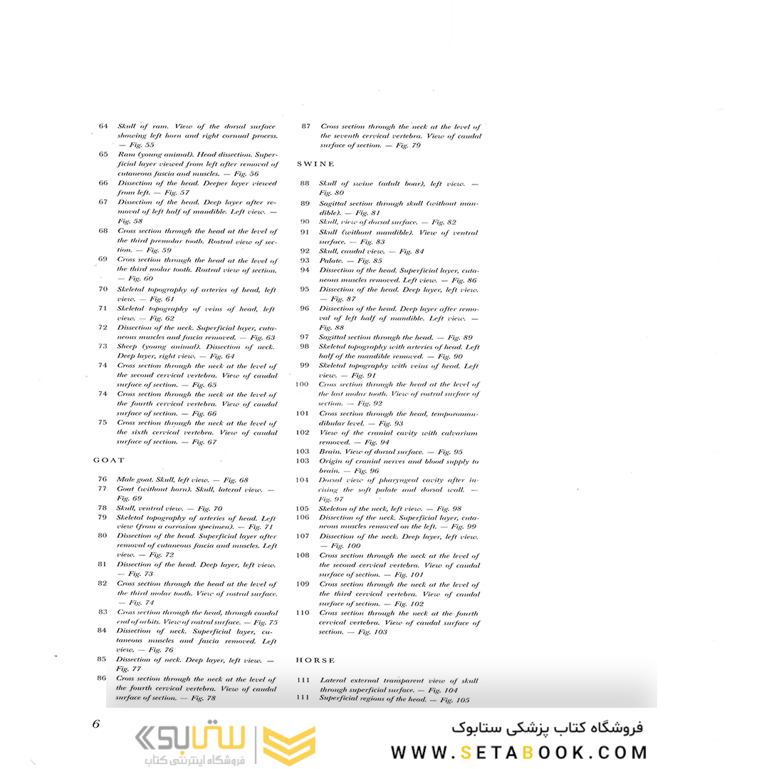 Atlas of Topographical Anatomy of the Domestic Animals 2nd Edicion