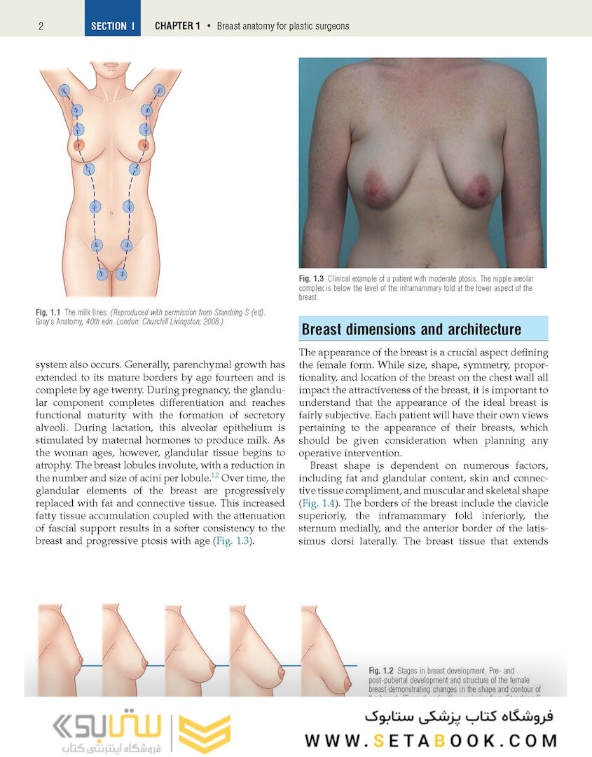 Plastic Surgery Volume 5: Breast 4th Edicion 2018