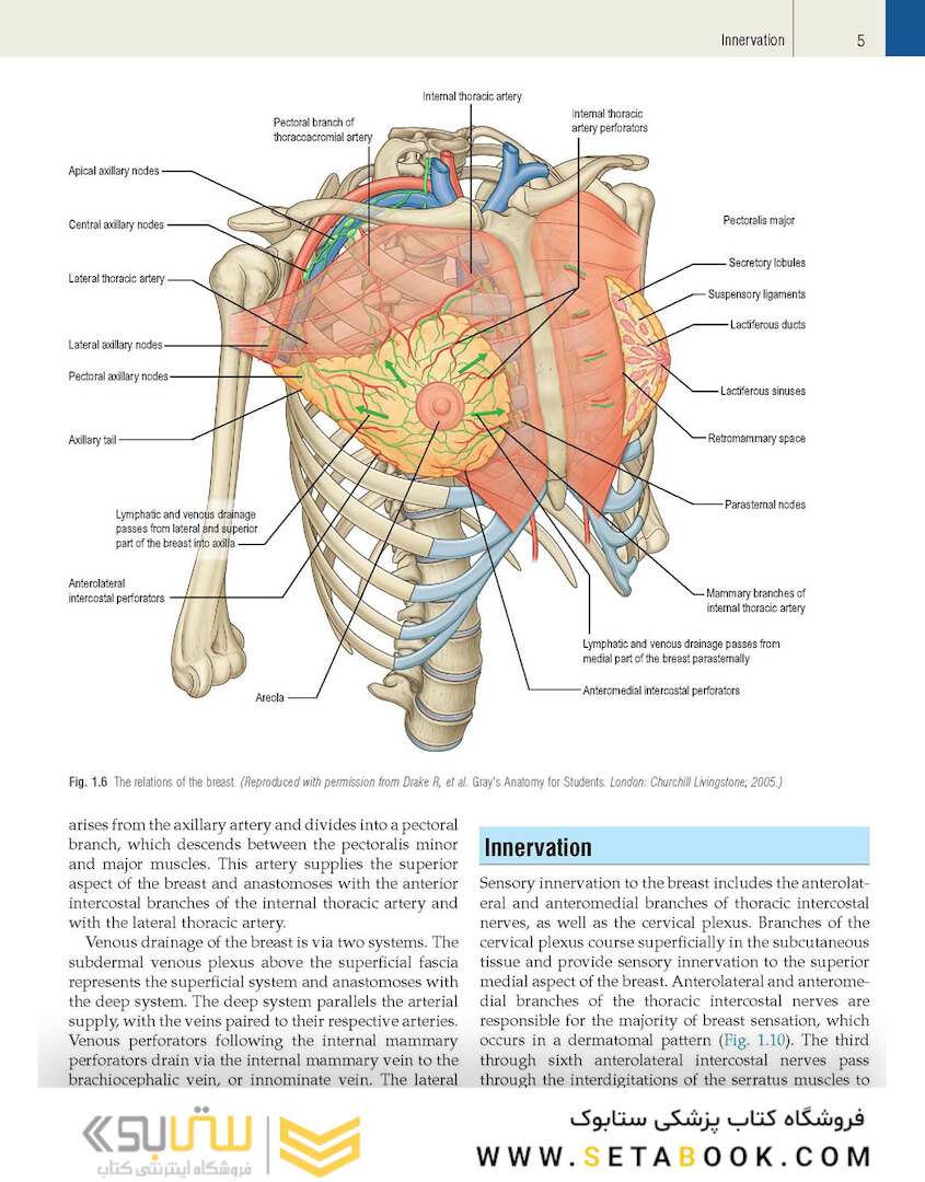 Plastic Surgery Volume 5: Breast 4th Edicion 2018