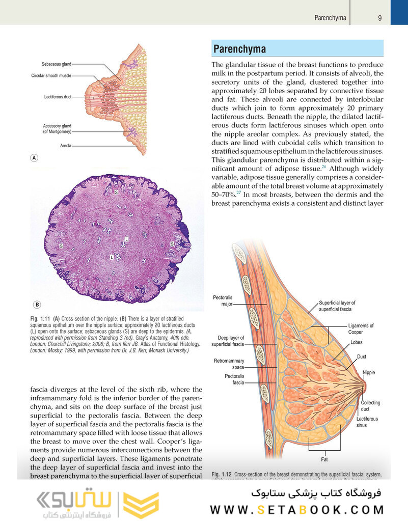 Plastic Surgery Volume 5: Breast 4th Edicion 2018