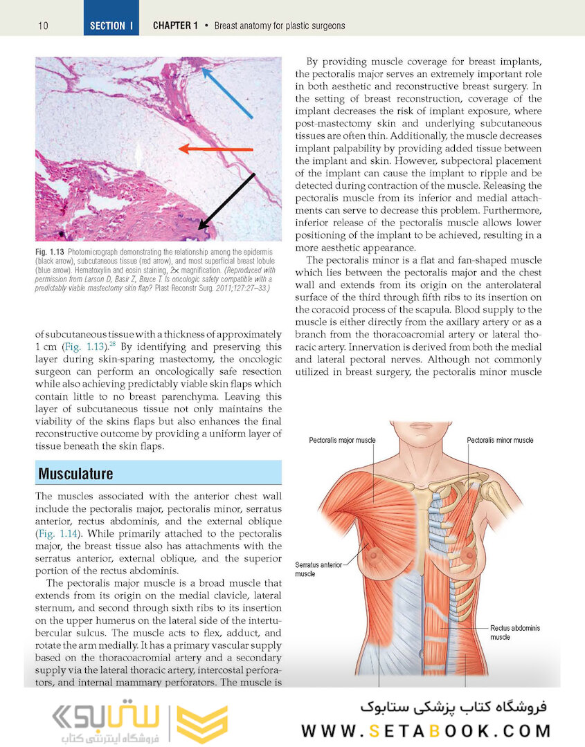 Plastic Surgery Volume 5: Breast 4th Edicion 2018