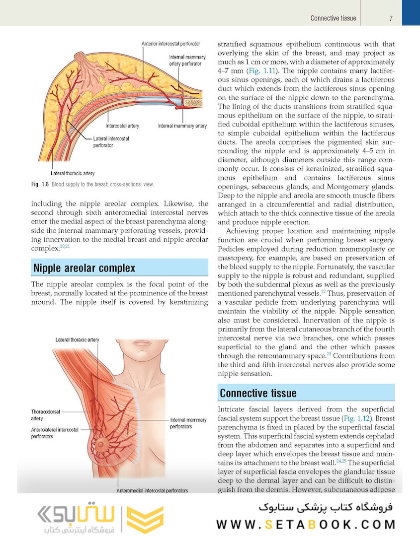 Plastic Surgery Volume 5: Breast 4th Edicion 2018