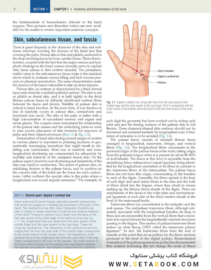 Plastic Surgery Volume 6: Hand and Upper Limb 4th Edicion 2018