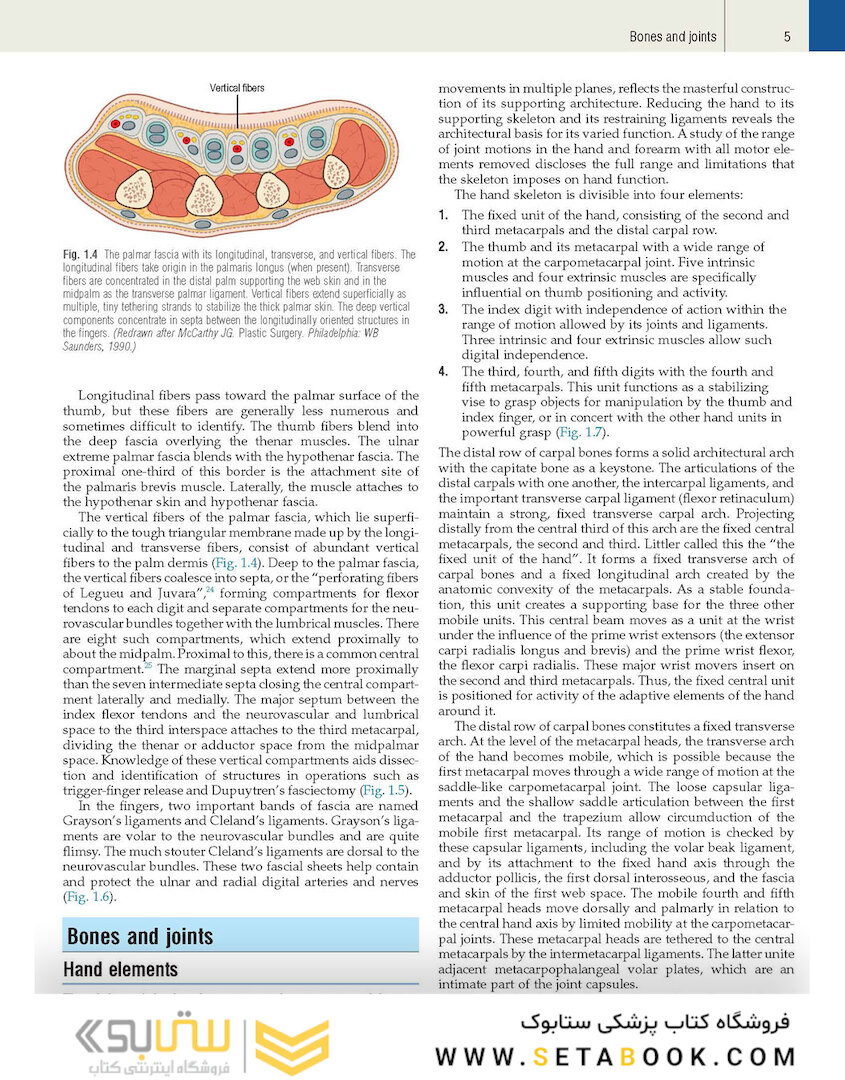 Plastic Surgery Volume 6: Hand and Upper Limb 4th Edicion 2018