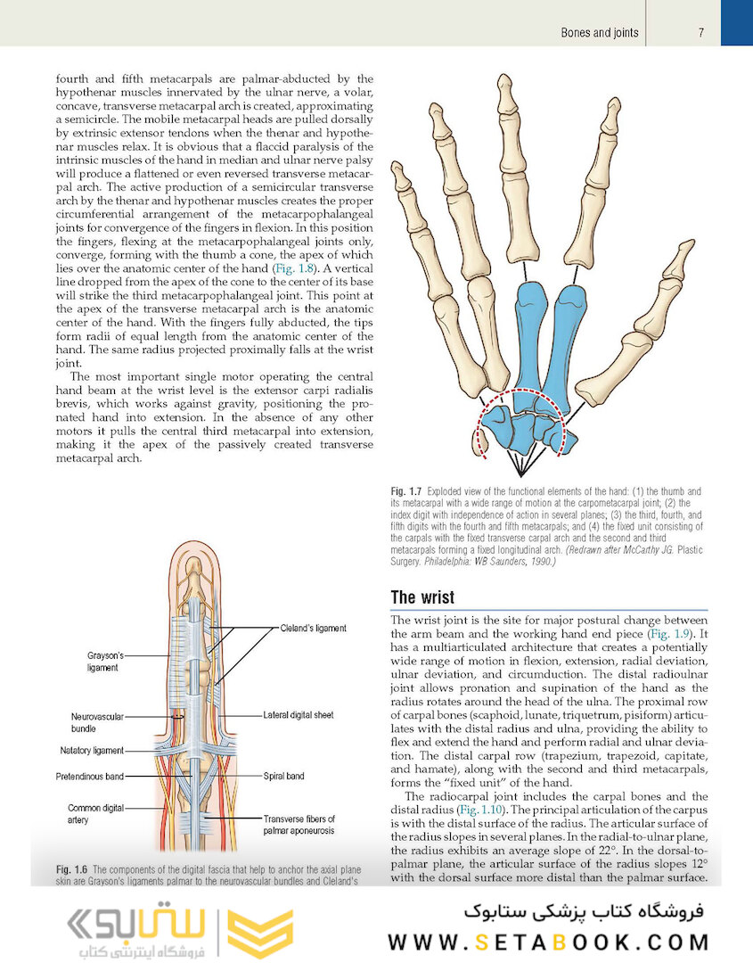 Plastic Surgery Volume 6: Hand and Upper Limb 4th Edicion 2018