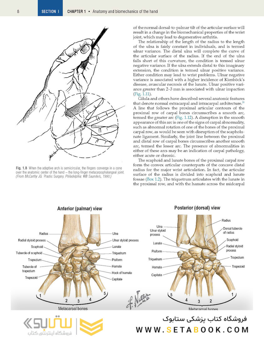 Plastic Surgery Volume 6: Hand and Upper Limb 4th Edicion 2018