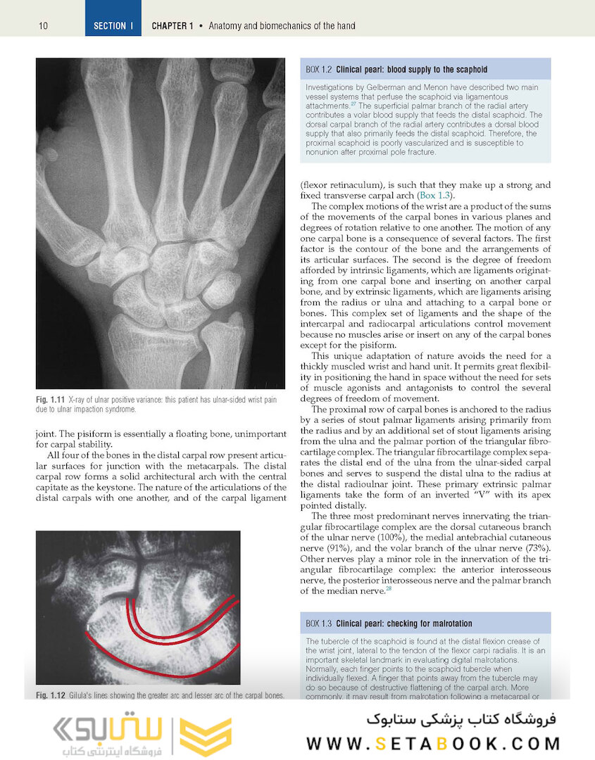 Plastic Surgery Volume 6: Hand and Upper Limb 4th Edicion 2018