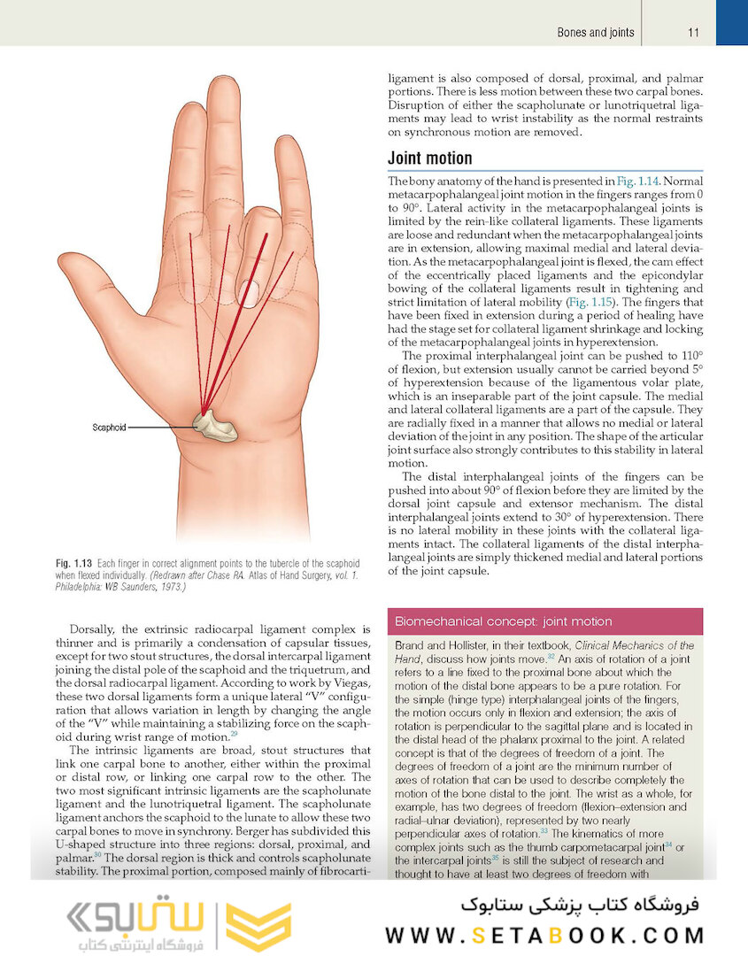 Plastic Surgery Volume 6: Hand and Upper Limb 4th Edicion 2018