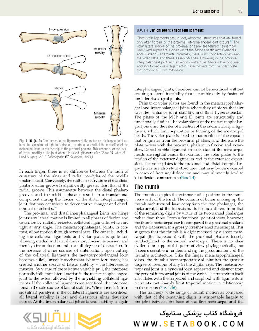 Plastic Surgery Volume 6: Hand and Upper Limb 4th Edicion 2018