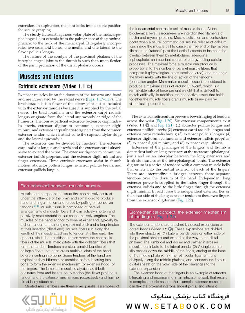 Plastic Surgery Volume 6: Hand and Upper Limb 4th Edicion 2018