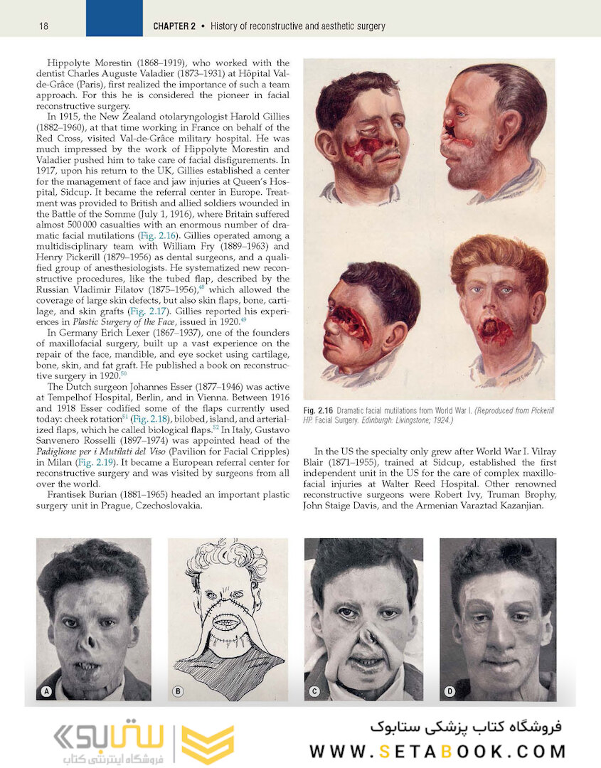 Plastic Surgery : Volume 1 Principles 4th Edicion 2018