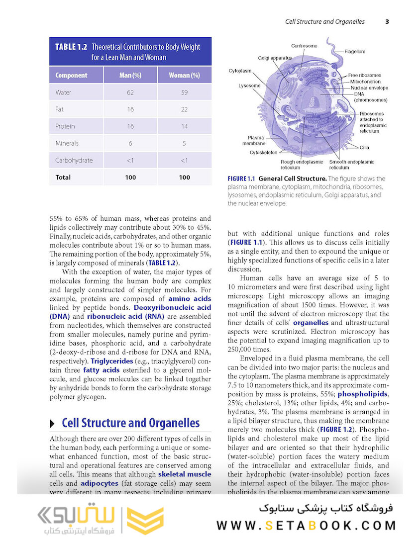 Advanced Human Nutrition 4th Edición