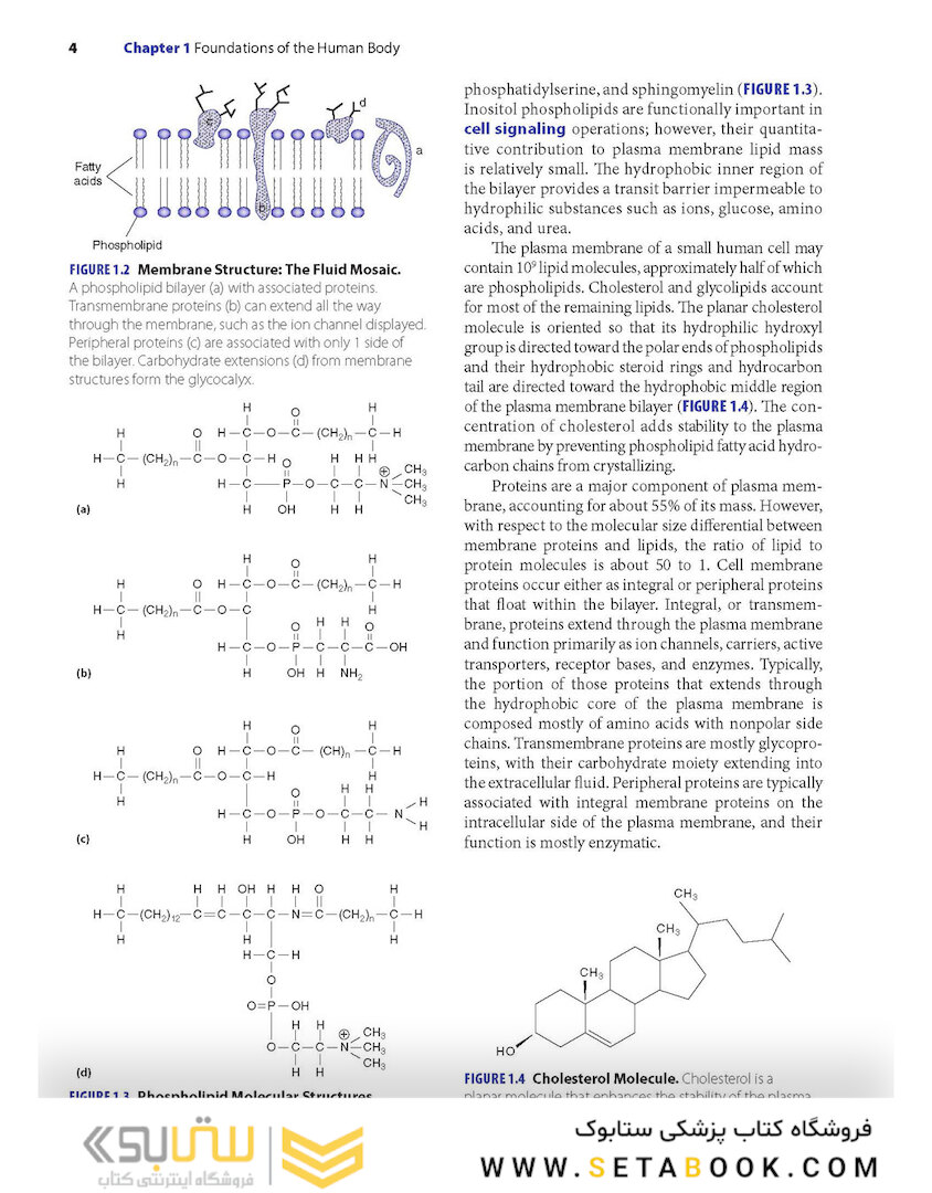 Advanced Human Nutrition 4th Edición