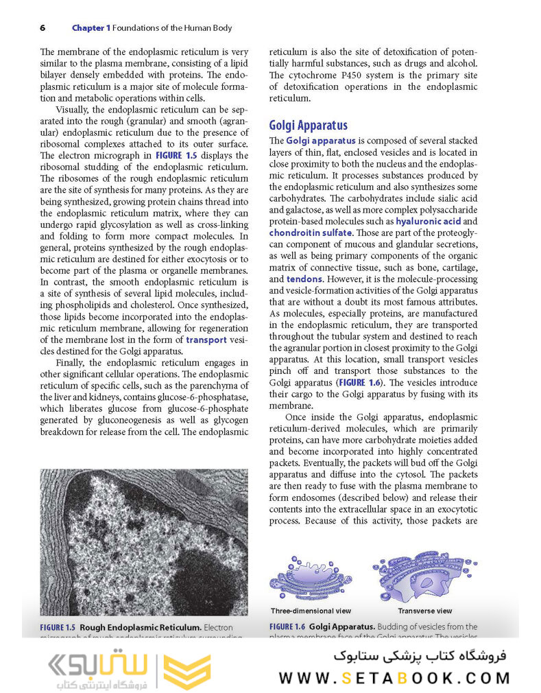 Advanced Human Nutrition 4th Edición