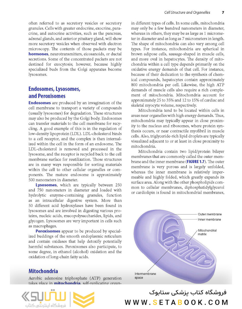 Advanced Human Nutrition 4th Edición