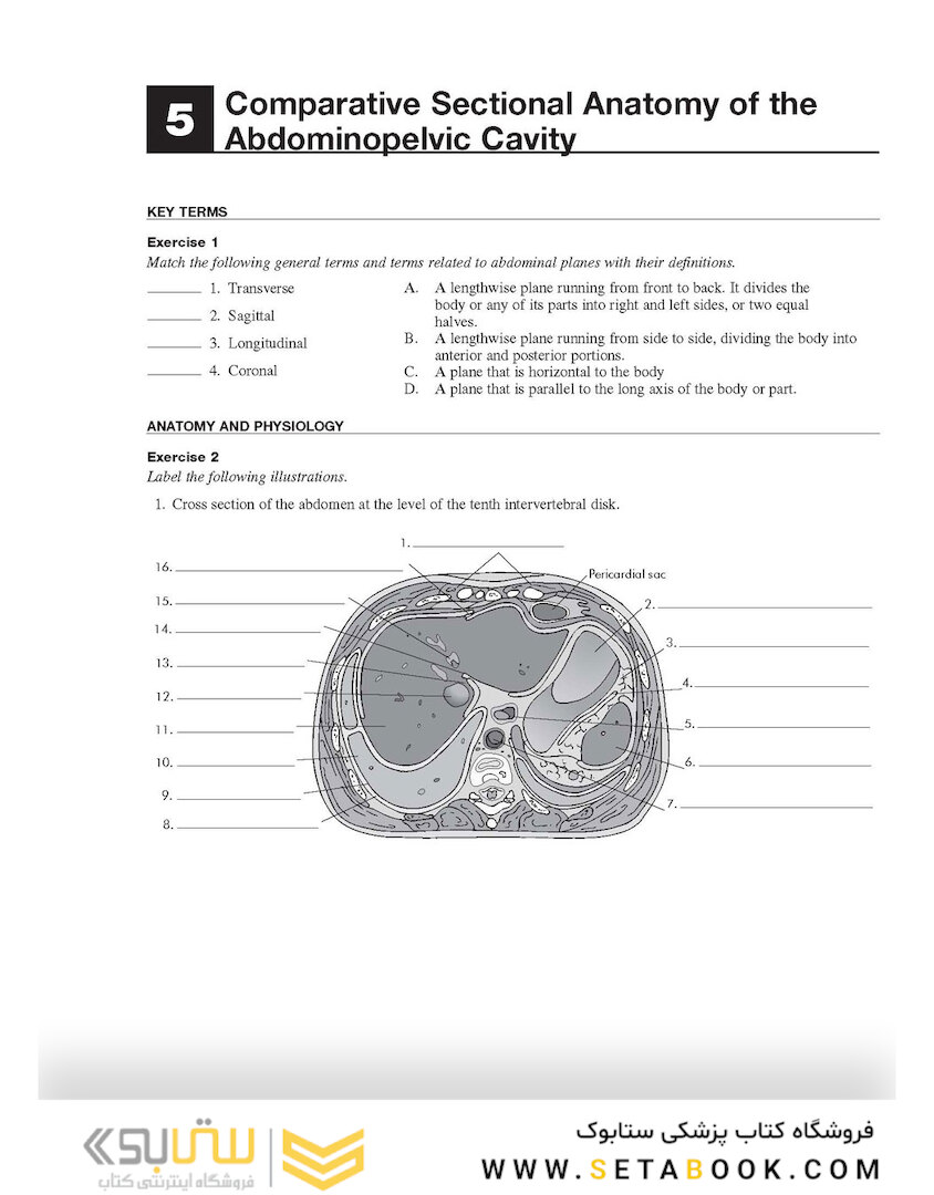 Workbook for Textbook of Diagnostic Sonography 8th Edicion