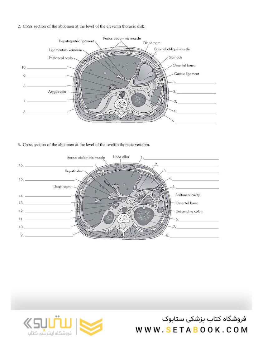 Workbook for Textbook of Diagnostic Sonography 8th Edicion