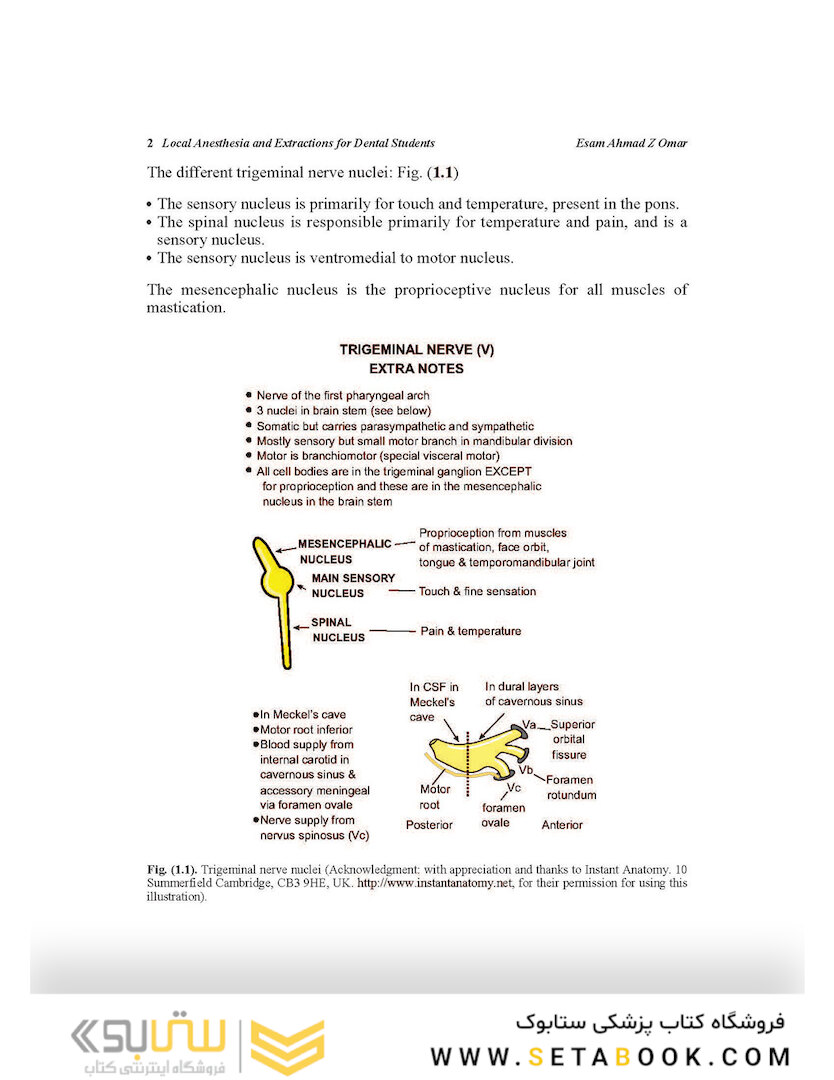 Local Anesthesia and Extractions for Dental Students : Simple Notes and Guidelines 2018