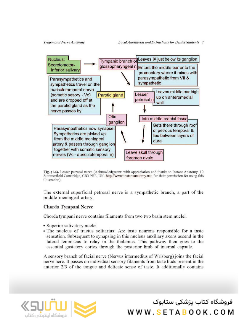 Local Anesthesia and Extractions for Dental Students : Simple Notes and Guidelines 2018