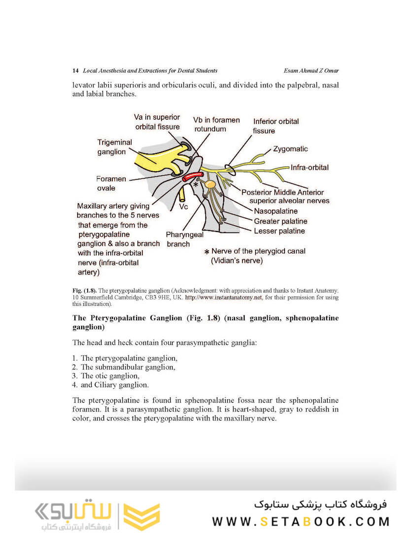 Local Anesthesia and Extractions for Dental Students : Simple Notes and Guidelines 2018