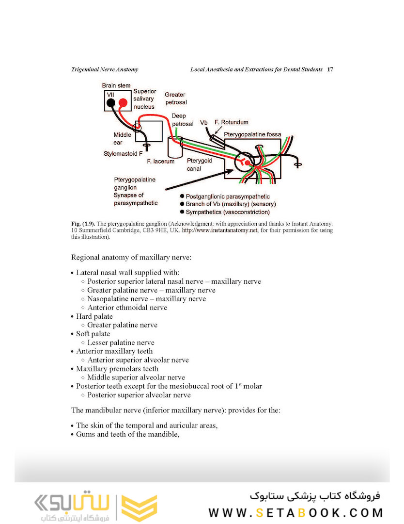 Local Anesthesia and Extractions for Dental Students : Simple Notes and Guidelines 2018