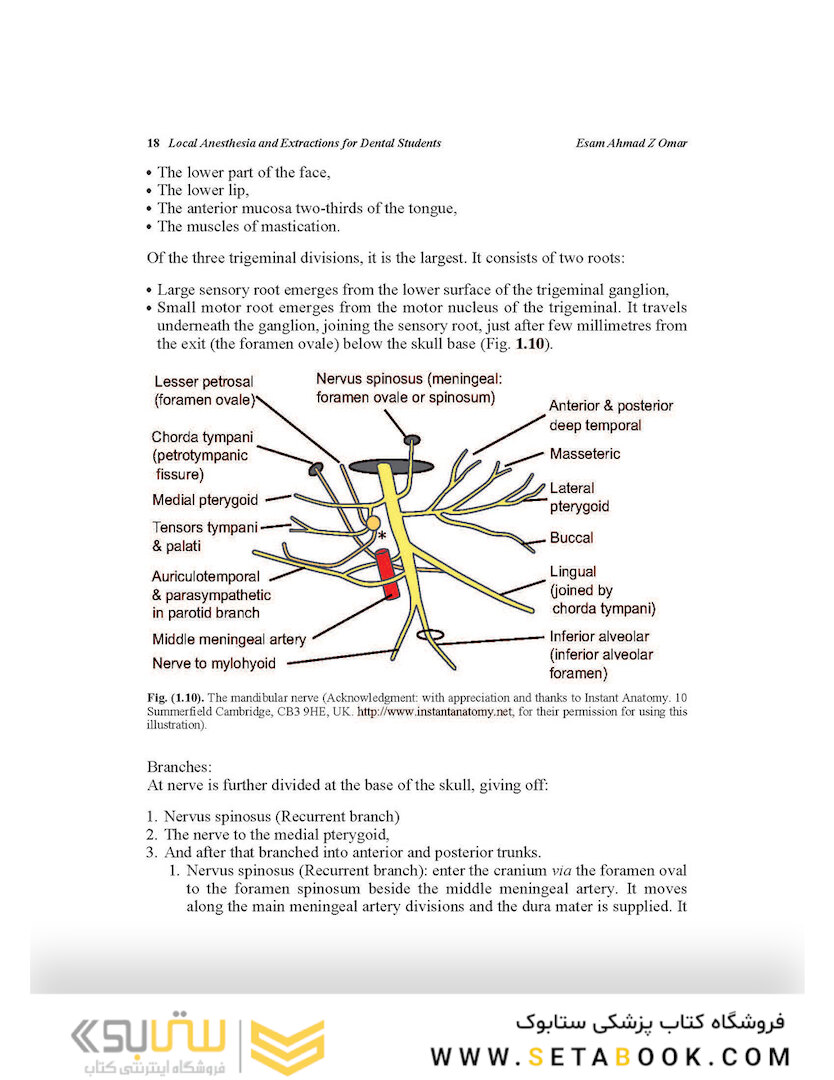 Local Anesthesia and Extractions for Dental Students : Simple Notes and Guidelines 2018