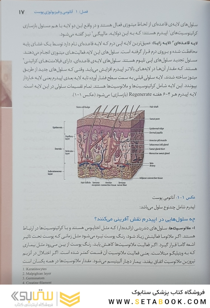 مبانی و کلیات مراقبت از زخم استومی و بی اختیاری