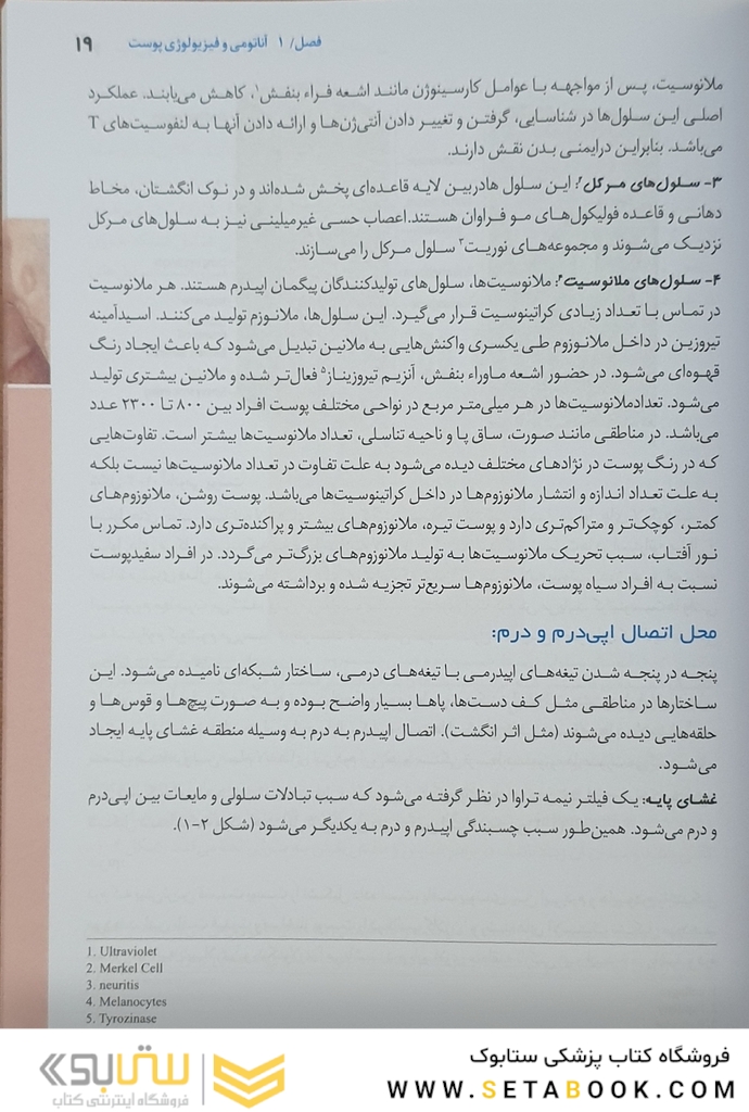 مبانی و کلیات مراقبت از زخم استومی و بی اختیاری