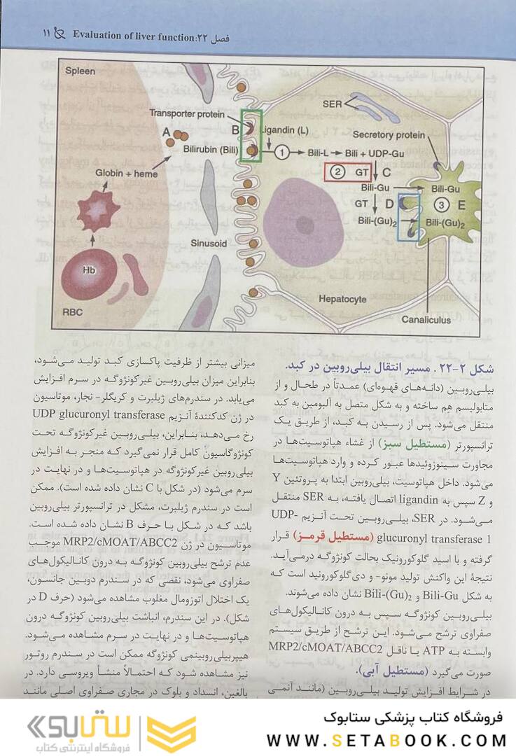 مجموعه سوالات پاتولوژی بالینی هنری 2022 جلد6 بر اساس هنری 2022