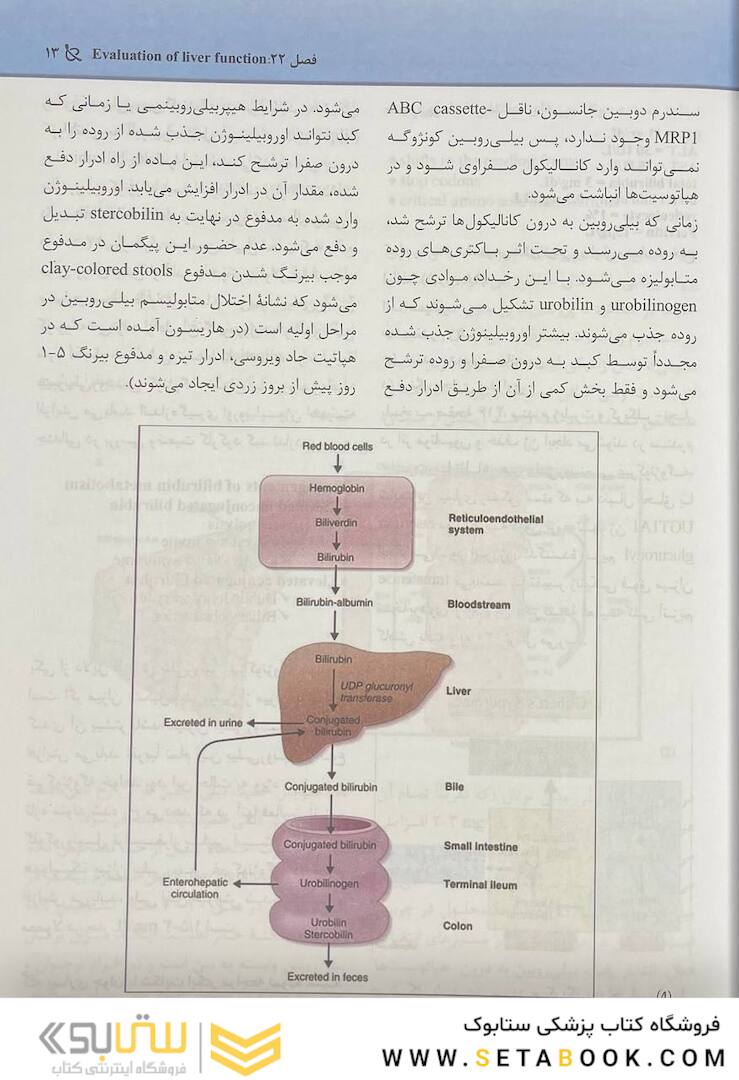 مجموعه سوالات پاتولوژی بالینی هنری 2022 جلد6 بر اساس هنری 2022