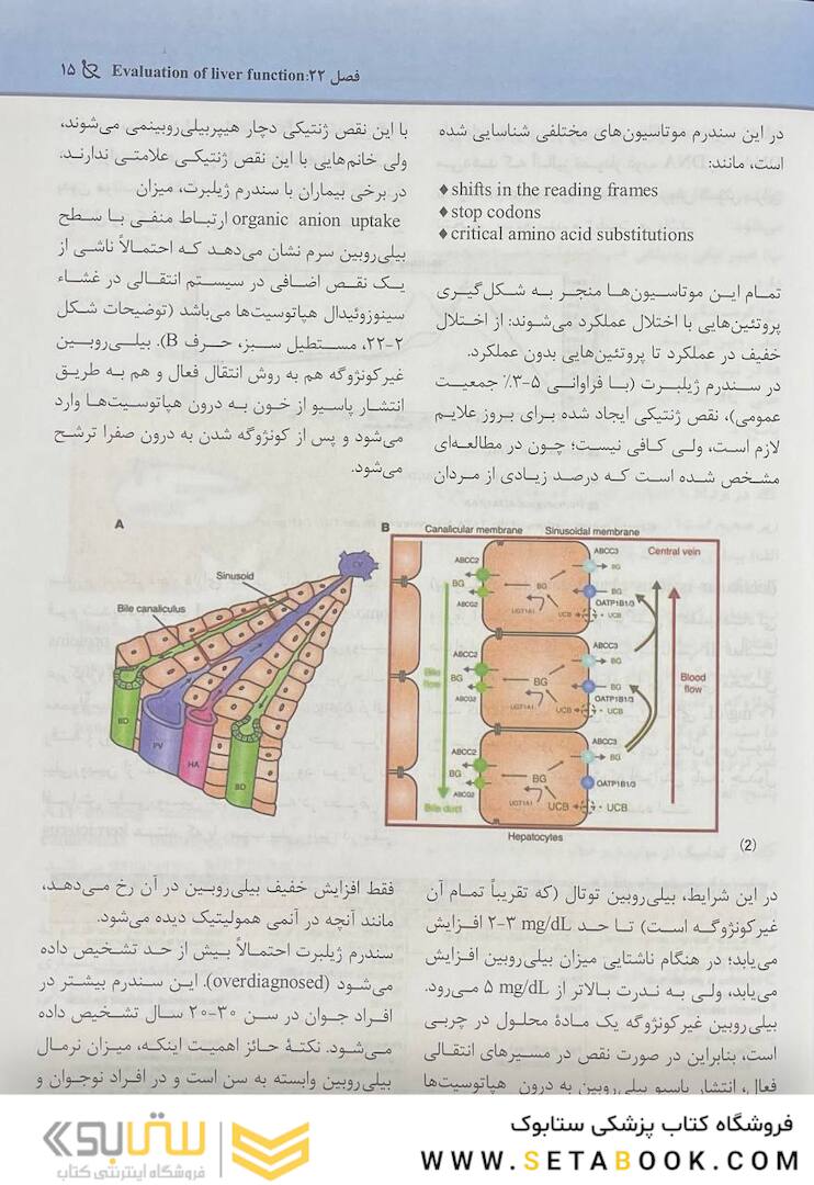 مجموعه سوالات پاتولوژی بالینی هنری 2022 جلد6 بر اساس هنری 2022