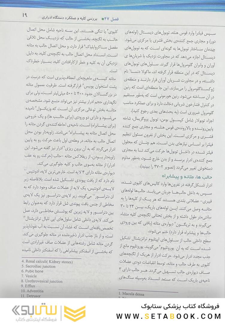 پرستاری داخلی جراحی برونر سودارث 2022 کلیه و مجاری ادرار جلد 11