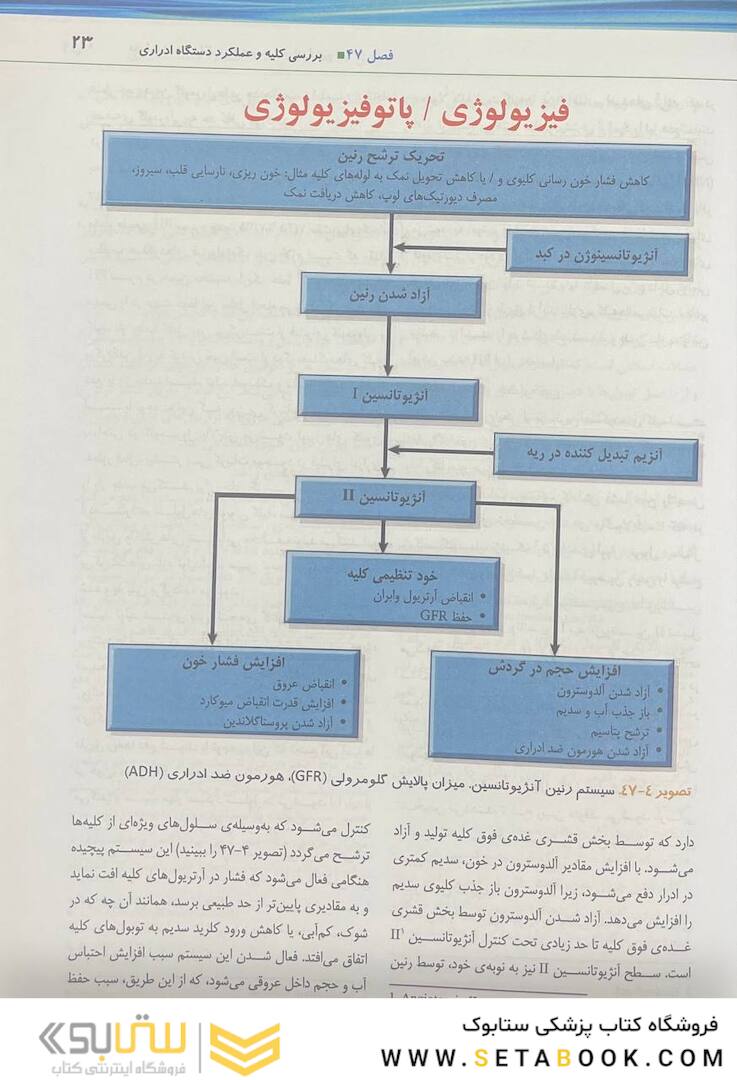 پرستاری داخلی جراحی برونر سودارث 2022 کلیه و مجاری ادرار جلد 11