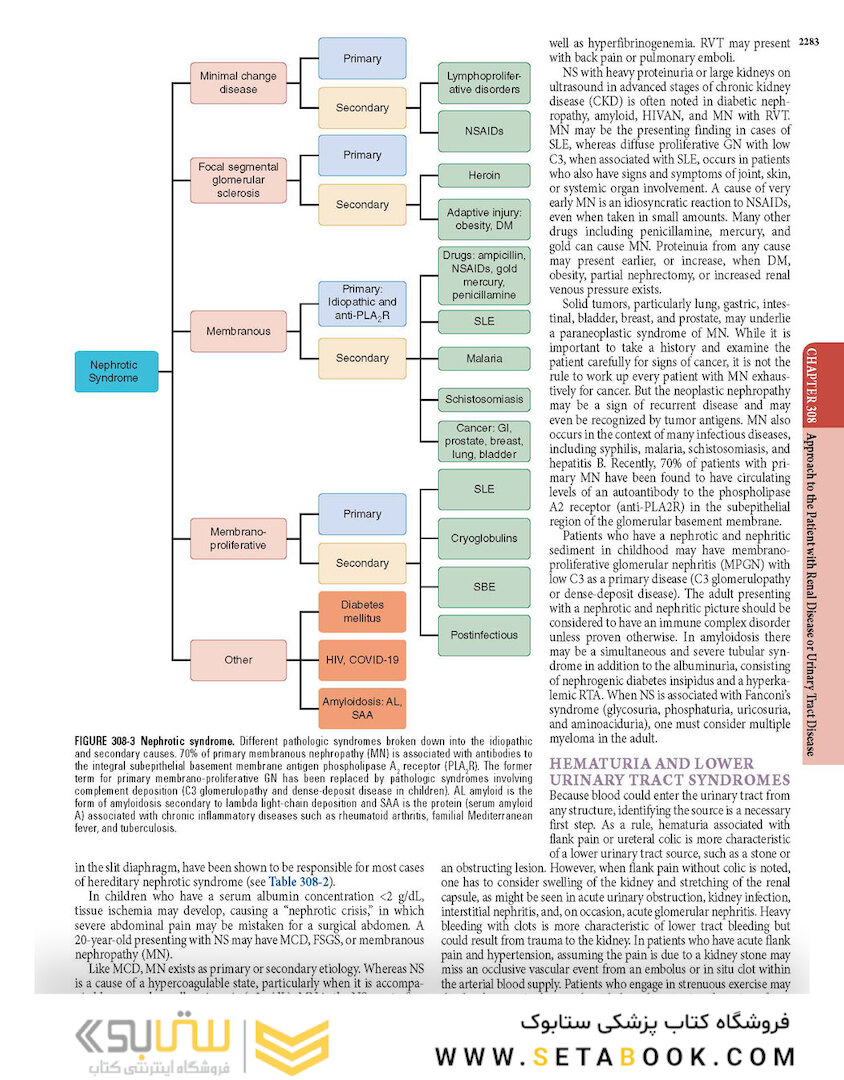HARRISONS PRINCIPLES OF INTERNAL MEDICINE Part Disorders Of the Kindney And Urinary Tract