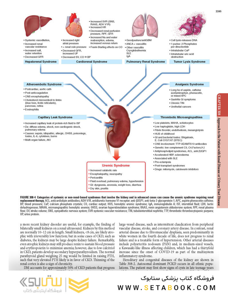 HARRISONS PRINCIPLES OF INTERNAL MEDICINE Part Disorders Of the Kindney And Urinary Tract
