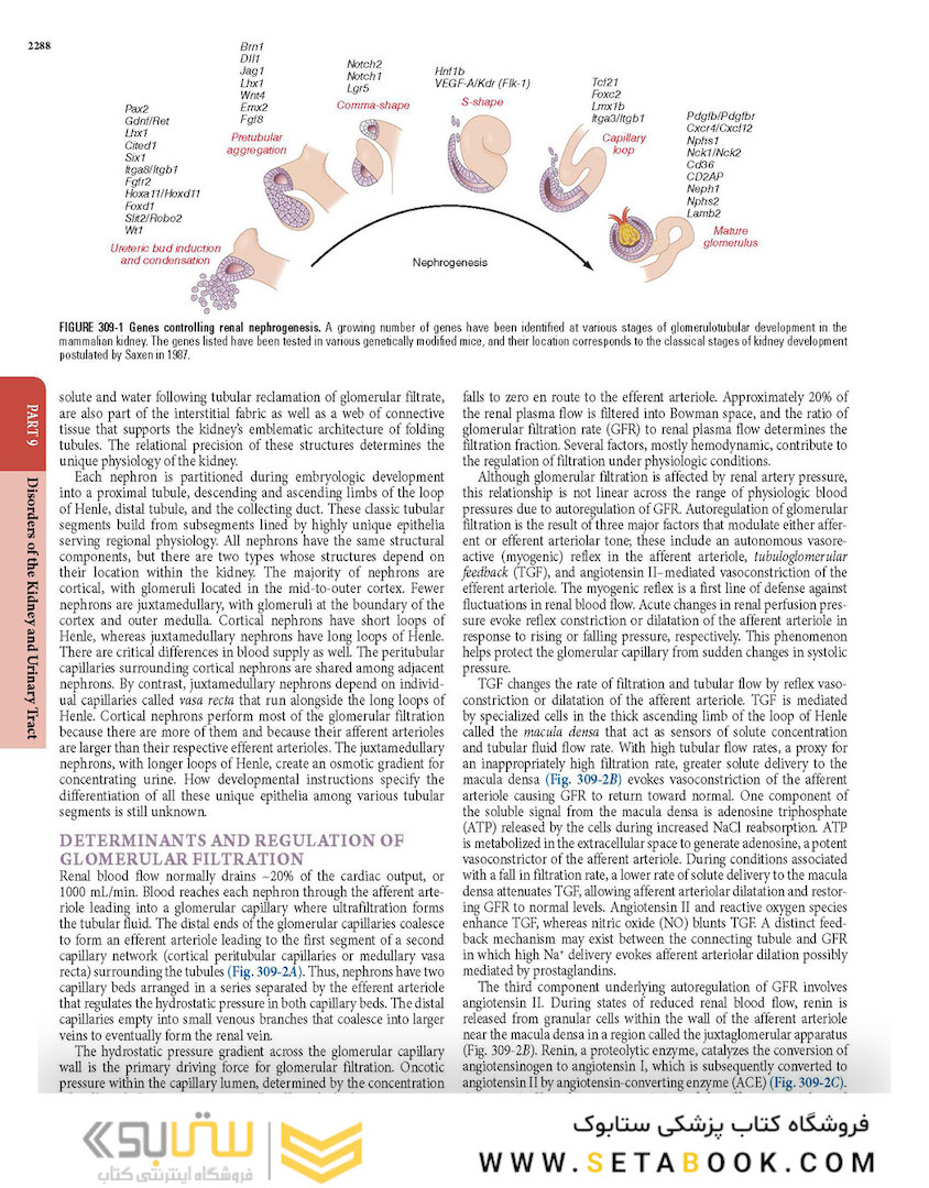 HARRISONS PRINCIPLES OF INTERNAL MEDICINE Part Disorders Of the Kindney And Urinary Tract
