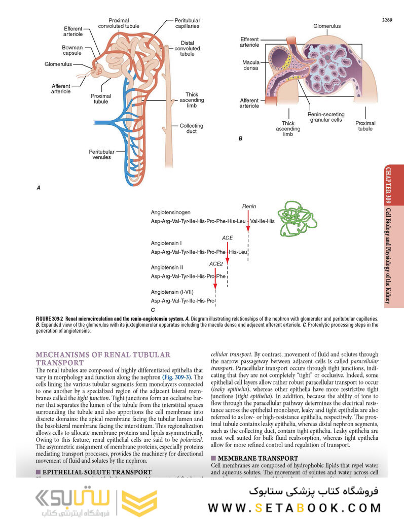 HARRISONS PRINCIPLES OF INTERNAL MEDICINE Part Disorders Of the Kindney And Urinary Tract