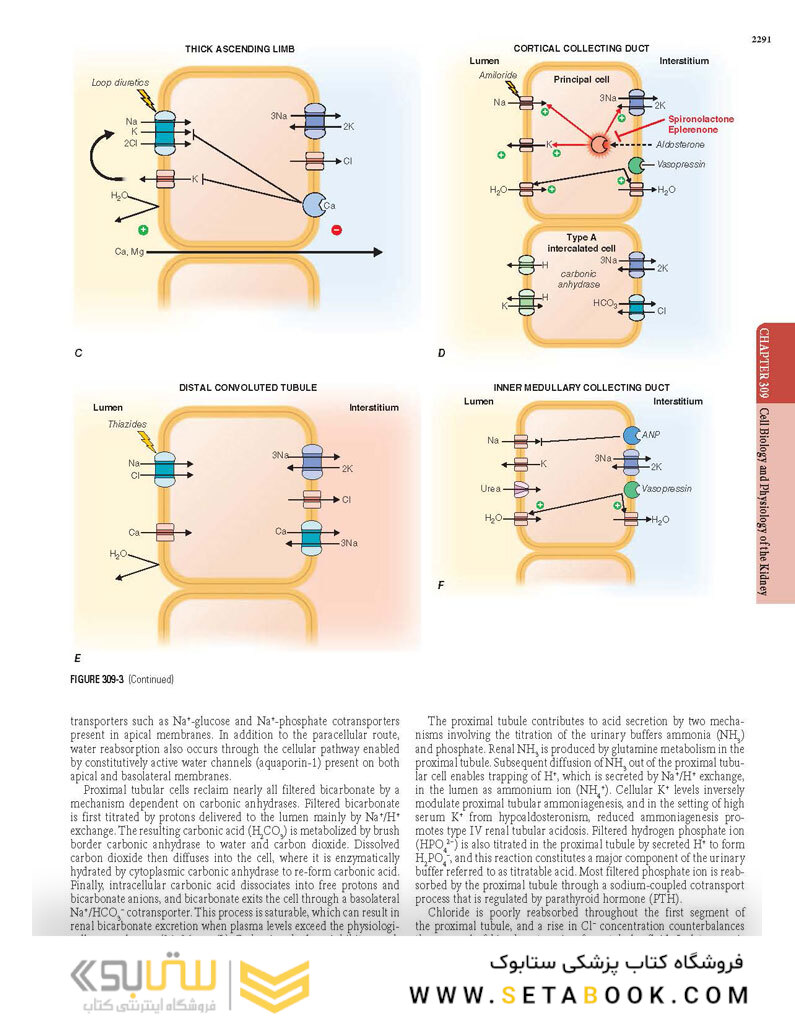 HARRISONS PRINCIPLES OF INTERNAL MEDICINE Part Disorders Of the Kindney And Urinary Tract