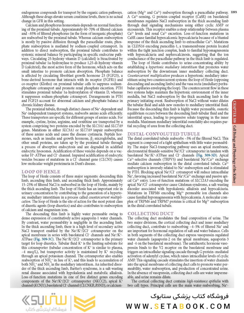 HARRISONS PRINCIPLES OF INTERNAL MEDICINE Part Disorders Of the Kindney And Urinary Tract