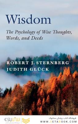 Wisdom : The Psychology of Wise Thoughts, Words, and Deeds