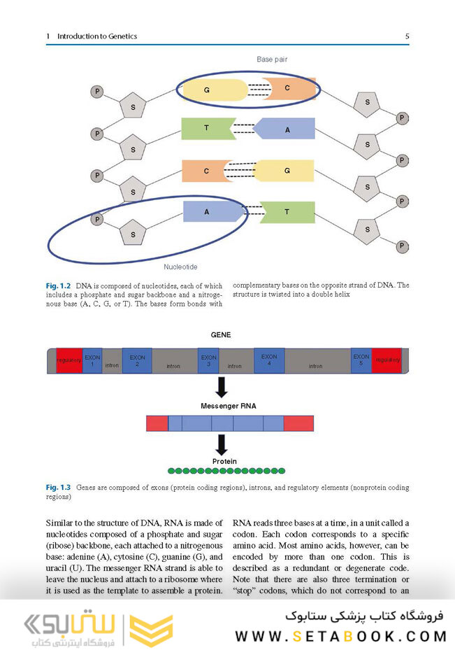 Nutrition Management of Inherited Metabolic Diseases : Lessons from Metabolic University
