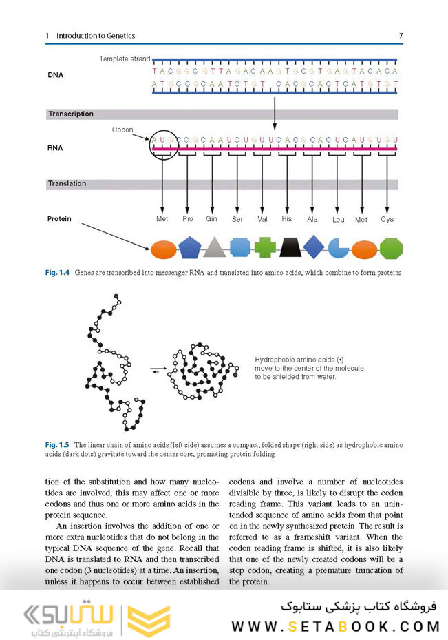 Nutrition Management of Inherited Metabolic Diseases : Lessons from Metabolic University